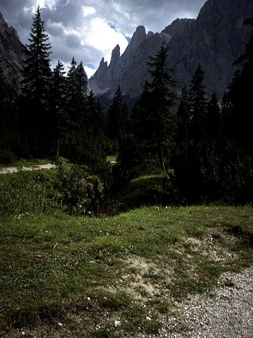 along the Val Fiscalina