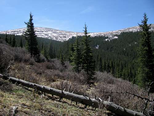 Along the trail