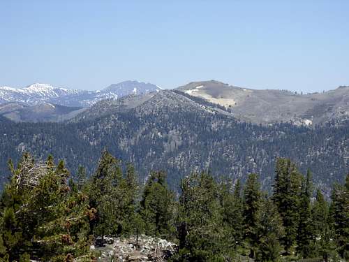View north from Duane Bliss Peak