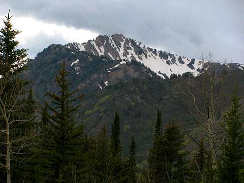 Circle All Peak from Mineral Fork