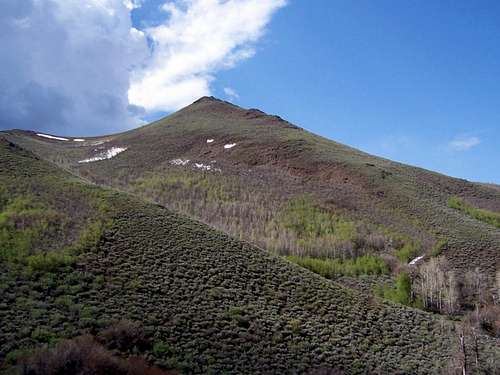 West Shoulder of Bilk Creek Mountain