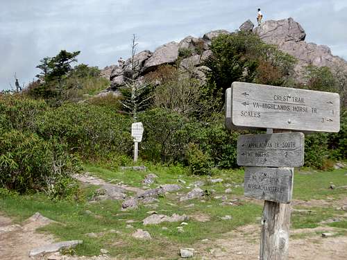 Trail Junction Along Mount Rogers Route