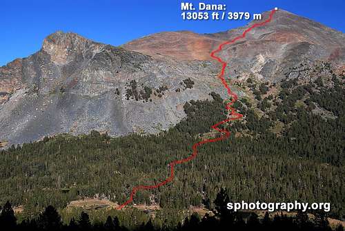 Mt. Dana dayhike route from Gaylor Peak