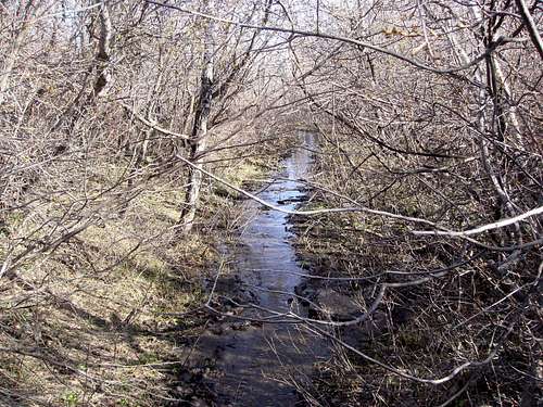 A little bushwacky down the elk trail