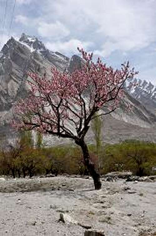 Dan Sam or Dum Sum Valley  Baltistan
