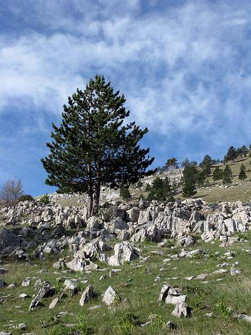 Scenery from the slopes of Badanj peak