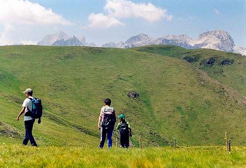 The ridge between Val Giumela and Val di Crepa  from Sella di Ciamol