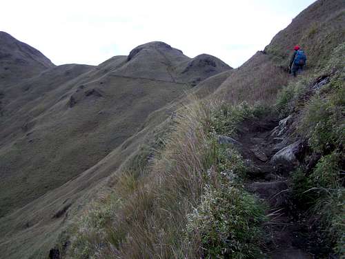 The trail near the peak of Pulag
