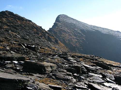 Pizzo Cramosino