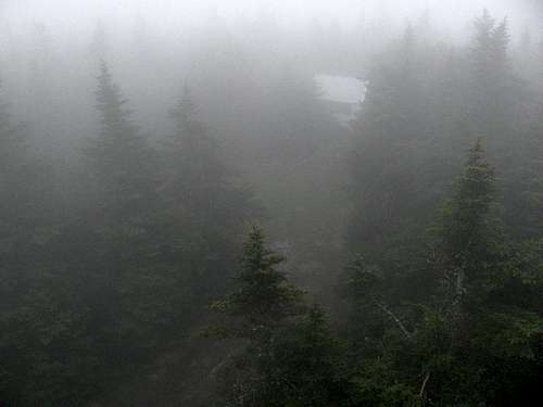 View from fire tower in thick fog