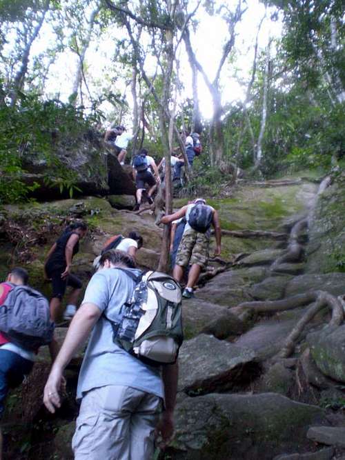 Pedra da Gávea Trail