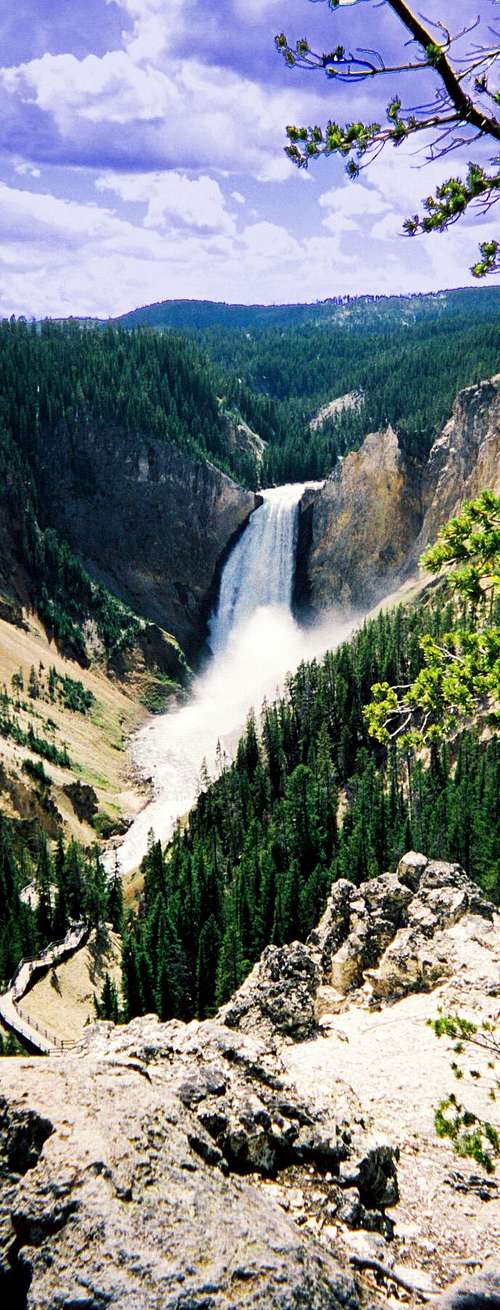 Lower Falls of Yellowstone - Vertical Shot