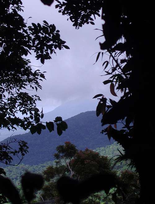 Framed by the jungle - Mt. Malipunyo