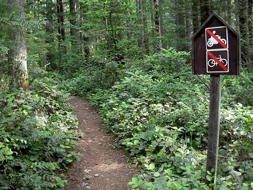 Mount Walker Trail