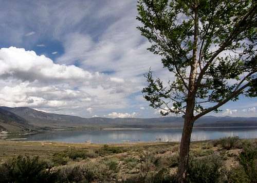 Mono Lake View