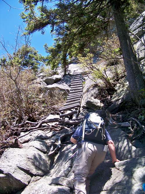 Ladders near MacRae Peak, Grandfather Trail