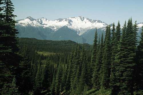 The Tantalus Range from above Taylor Meadows
