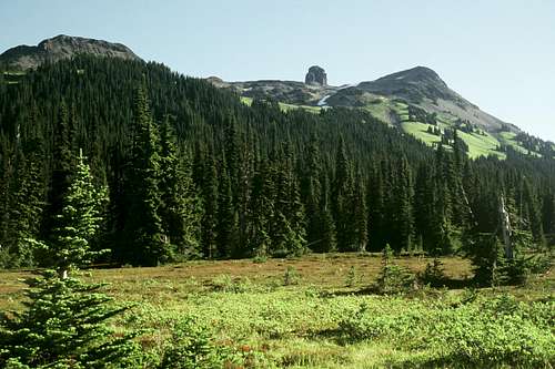 The Black Tusk is the tiny thimble as seen from Taylor Meadows