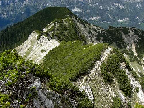 Ammergau Alps - Kieneckspitze