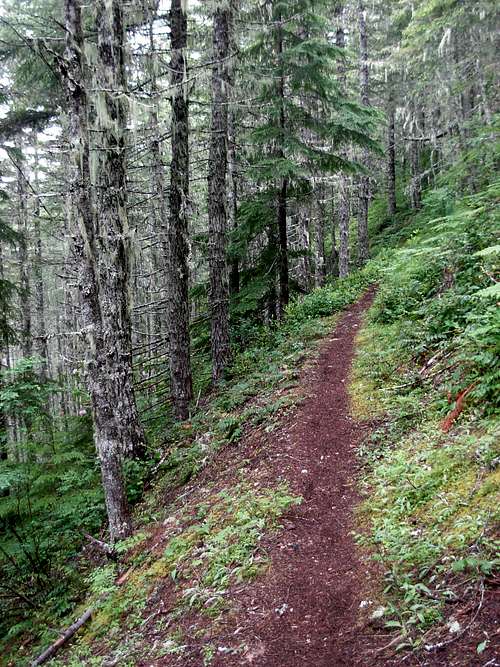 Jupiter Ridge Trail