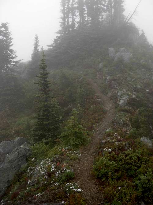 Jupiter Ridge Trail