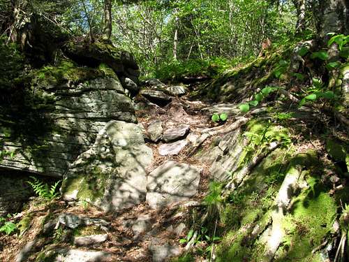 Wittenberg, Cornell Slide trail from the
