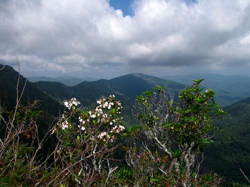 View from Chimney Tops 3