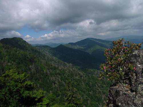 View from Chimney Tops 5