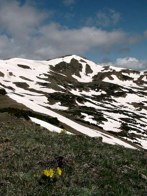 Alpine View, Vasquez Peak Wilderness
