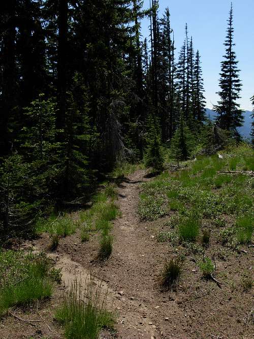Sasse Mountain Trail