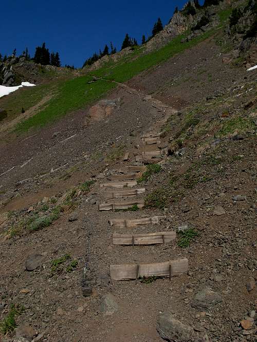 Mount Ellinor Trail