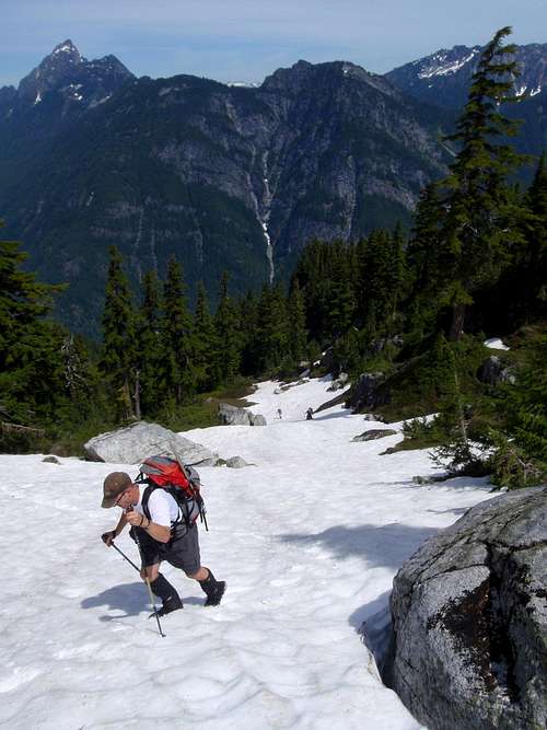 Breaking Above the Treeline