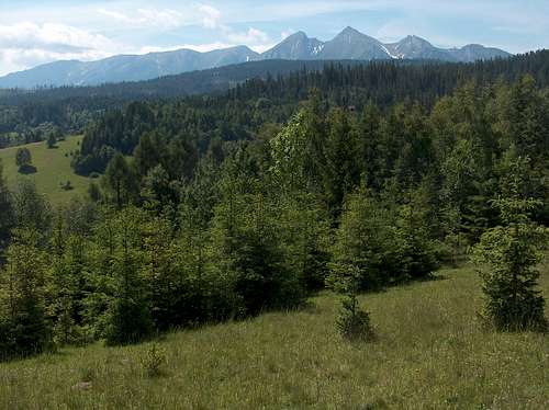 The Tatras from Spišská Magura