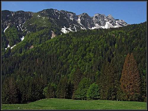 Monte Salinchiet from Val Pontebbana
