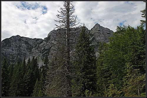 Monte Salinchiet from the north