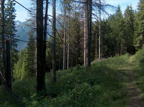 Spišská Magura trail