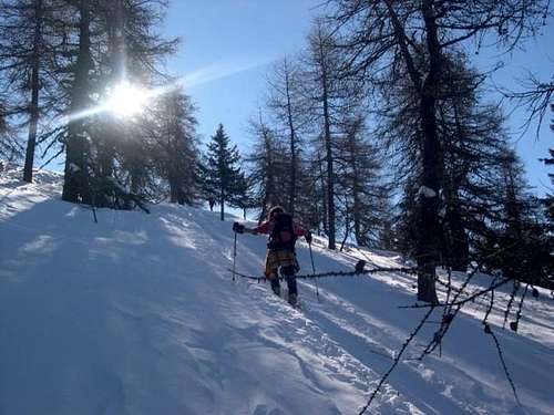  Ski mountaneering: the first...