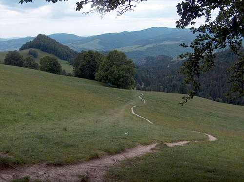 The trail to Wysokie Skałki (Małe Pieniny)
