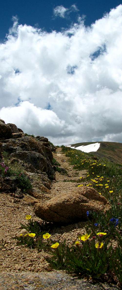 Vasquez Peak Wilderness Trail