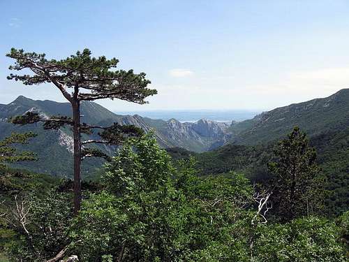 Great view towards Velika Paklenica canyon