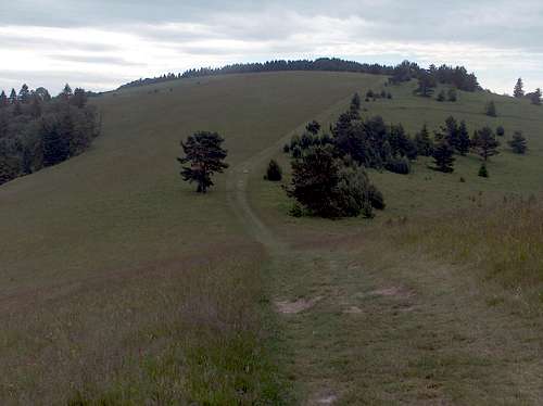The flat ridge of Małe Pieniny