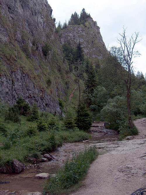 Into Wąwóz Homole (Homole gorge)