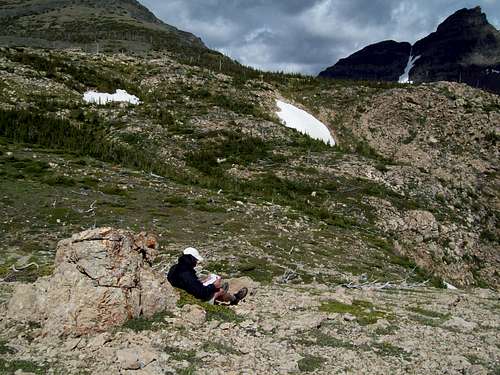 Gridlines, Goat Signs and Pika Poop: Citizen Science in Glacier National Park