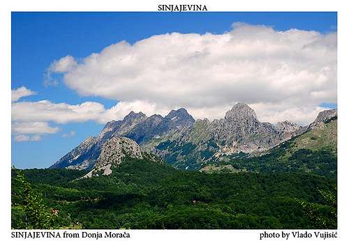 Sinjajevina from Donja Morača