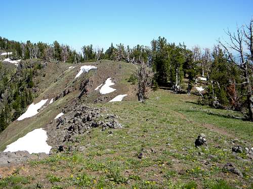 A View Along the Trail