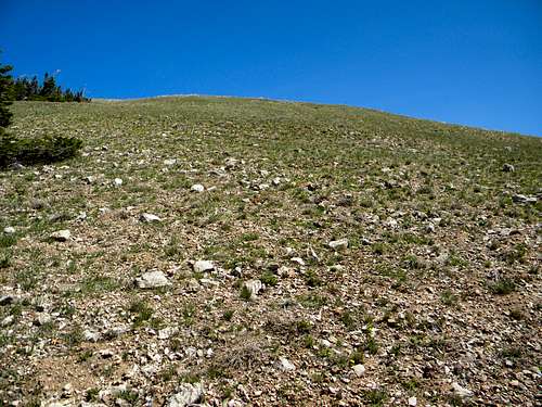 South Slope of Ridge Point 9,800