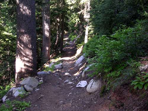 Smithbrook Trail