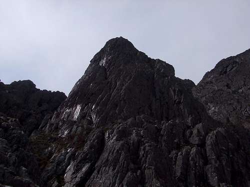 Crowberry Tower