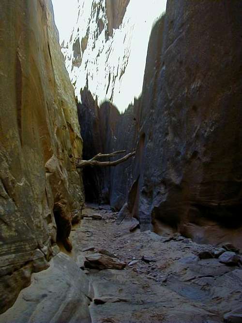 More narrows in Bluejohn Canyon