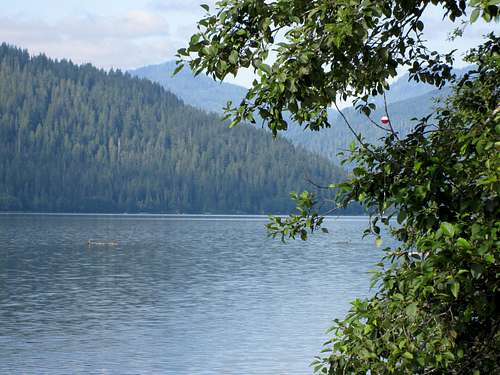 Scene at Baker Lake, Northern Cascades